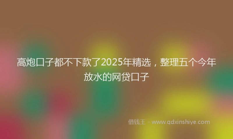 高炮口子都不下款了2025年精选，整理五个今年放水的网贷口子