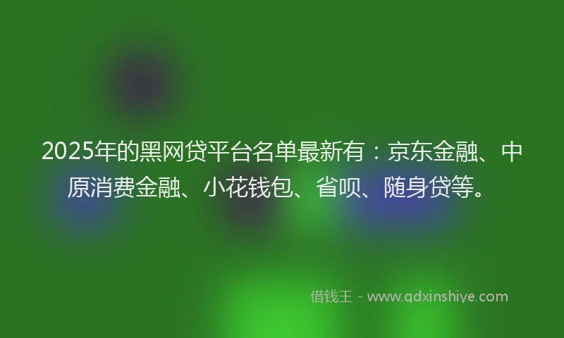 2025年的黑网贷平台名单最新有：京东金融、中原消费金融、小花钱包、省呗、随身贷等。