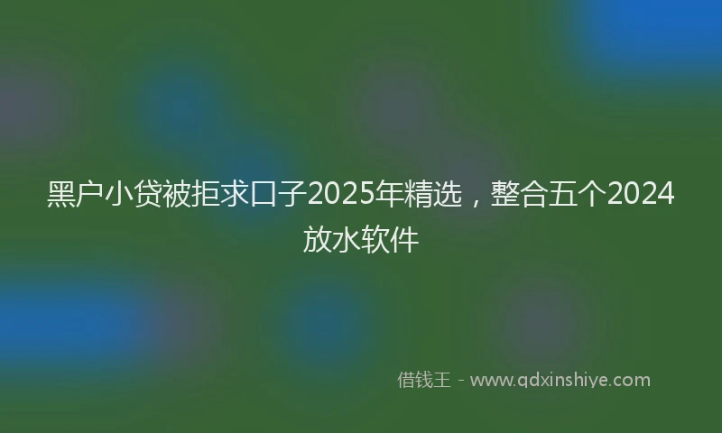 黑户小贷被拒求口子2025年精选，整合五个2024放水软件
