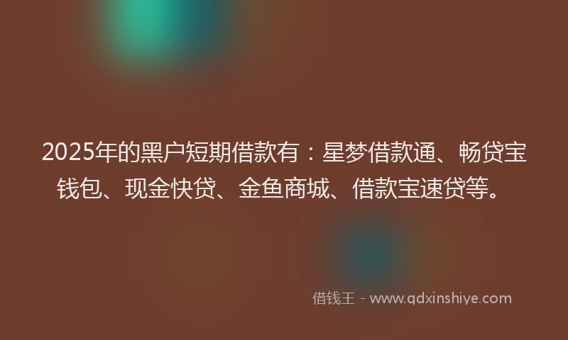 2025年的黑户短期借款有：星梦借款通、畅贷宝钱包、现金快贷、金鱼商城、借款宝速贷等。