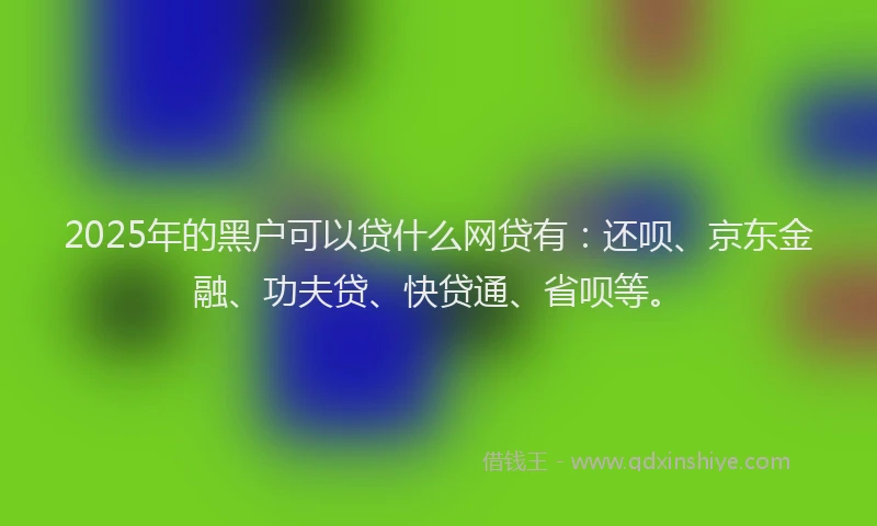 2025年的黑户可以贷什么网贷有：还呗、京东金融、功夫贷、快贷通、省呗等。