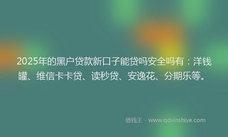 2025年的黑户贷款新口子能贷吗安全吗有：洋钱罐、维信卡卡贷、读秒贷、安逸花、分期乐等。
