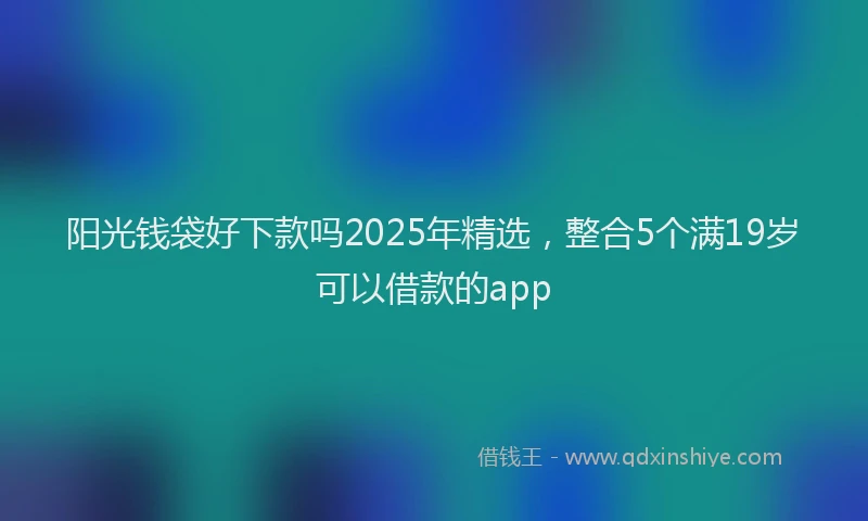 阳光钱袋好下款吗2025年精选，整合5个满19岁可以借款的app