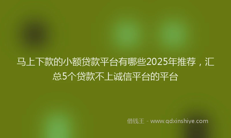 马上下款的小额贷款平台有哪些2025年推荐，汇总5个贷款不上诚信平台的平台