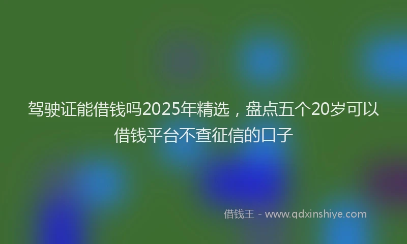 驾驶证能借钱吗2025年精选，盘点五个20岁可以借钱平台不查征信的口子