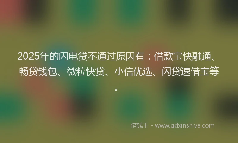 2025年的闪电贷不通过原因有：借款宝快融通、畅贷钱包、微粒快贷、小信优选、闪贷速借宝等。