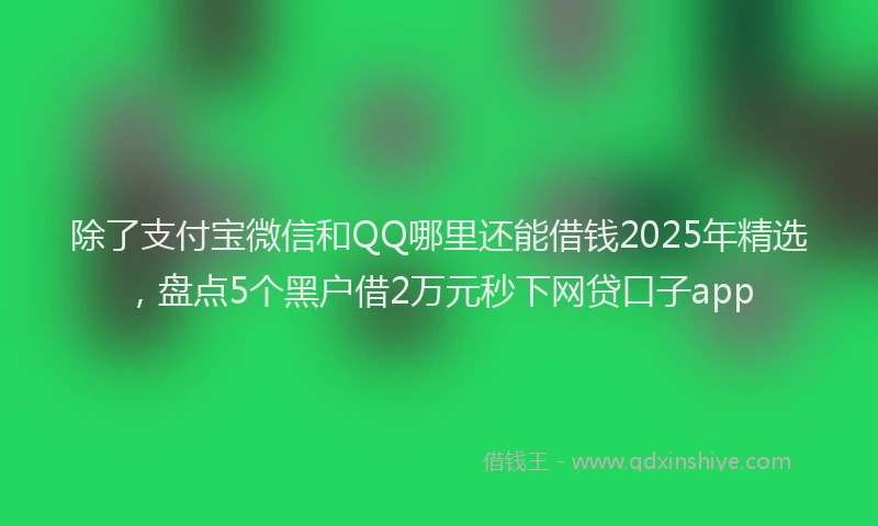 除了支付宝微信和QQ哪里还能借钱2025年精选，盘点5个黑户借2万元秒下网贷口子app