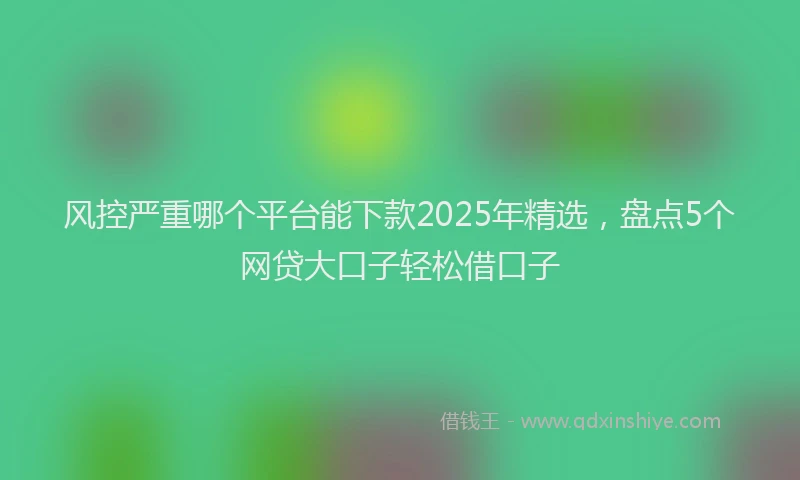 风控严重哪个平台能下款2025年精选，盘点5个网贷大口子轻松借口子