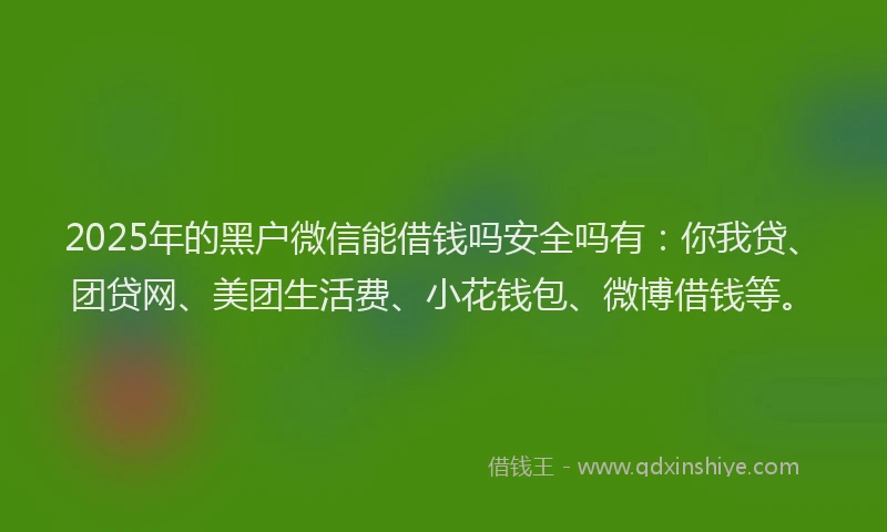 2025年的黑户微信能借钱吗安全吗有：你我贷、团贷网、美团生活费、小花钱包、微博借钱等。
