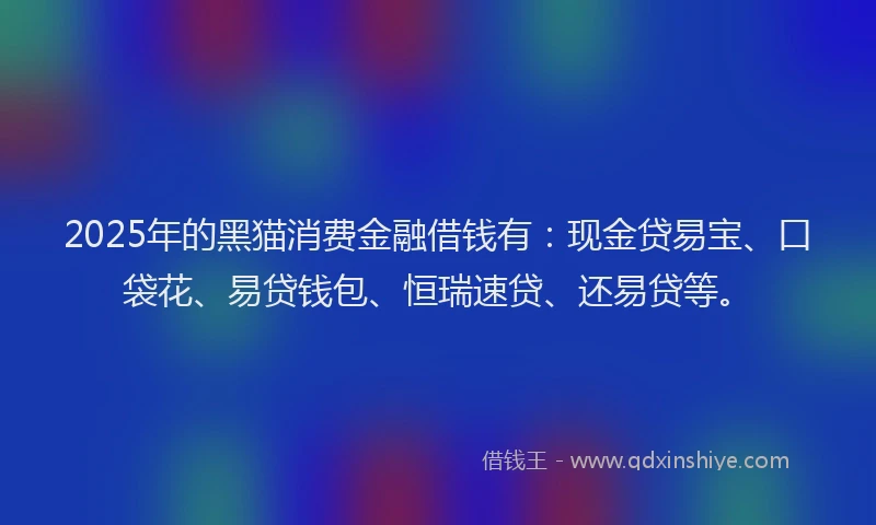 2025年的黑猫消费金融借钱有：现金贷易宝、口袋花、易贷钱包、恒瑞速贷、还易贷等。