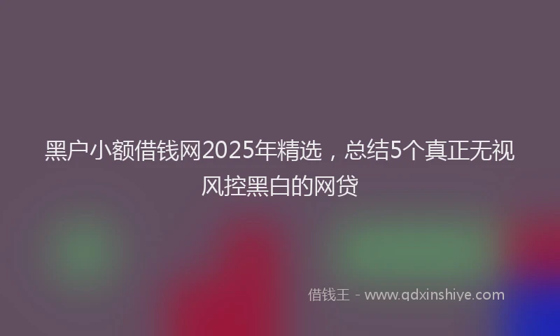 黑户小额借钱网2025年精选，总结5个真正无视风控黑白的网贷