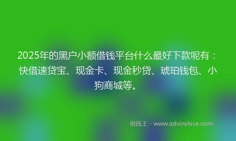 2025年的黑户小额借钱平台什么最好下款呢有：快借速贷宝、现金卡、现金秒贷、琥珀钱包、小狗商城等。