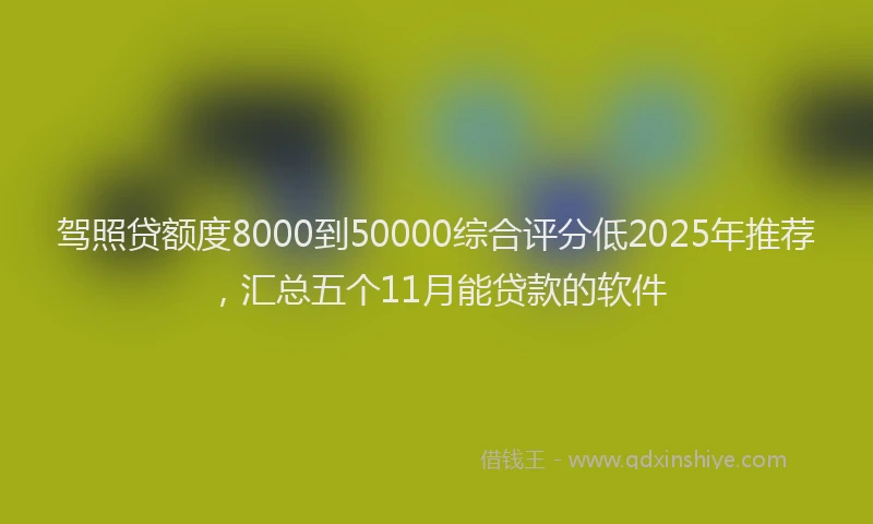 驾照贷额度8000到50000综合评分低2025年推荐，汇总五个11月能贷款的软件