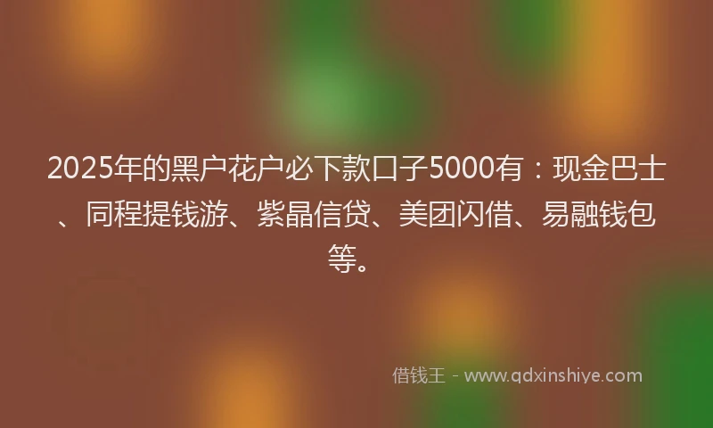 2025年的黑户花户必下款口子5000有：现金巴士、同程提钱游、紫晶信贷、美团闪借、易融钱包等。