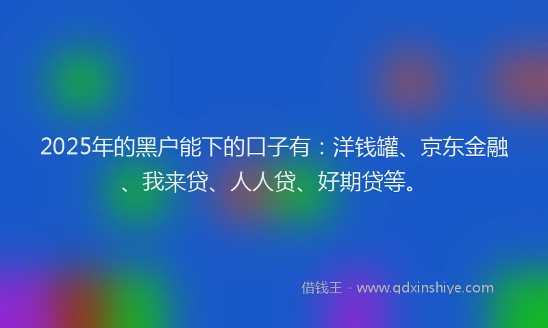 2025年的黑户能下的口子有：洋钱罐、京东金融、我来贷、人人贷、好期贷等。