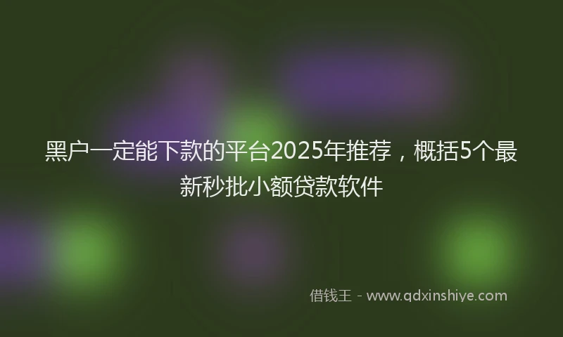黑户一定能下款的平台2025年推荐，概括5个最新秒批小额贷款软件
