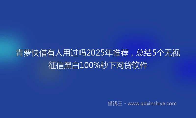 青萝快借有人用过吗2025年推荐，总结5个无视征信黑白100%秒下网贷软件
