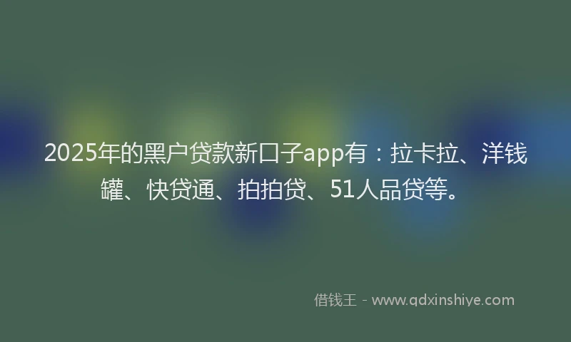 2025年的黑户贷款新口子app有：拉卡拉、洋钱罐、快贷通、拍拍贷、51人品贷等。
