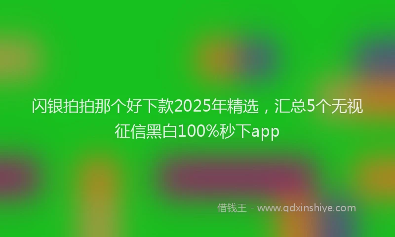 闪银拍拍那个好下款2025年精选，汇总5个无视征信黑白100%秒下app