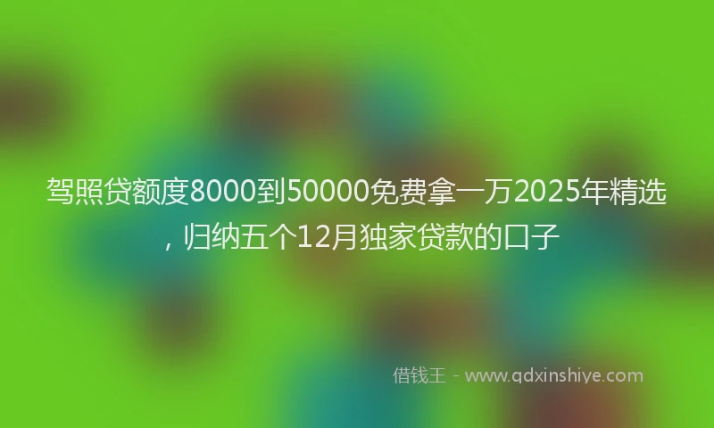 驾照贷额度8000到50000免费拿一万2025年精选，归纳五个12月独家贷款的口子
