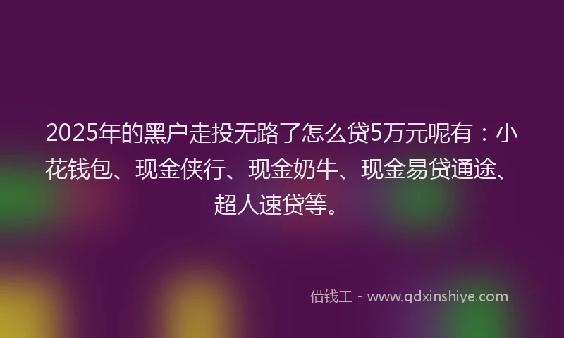 2025年的黑户走投无路了怎么贷5万元呢有：小花钱包、现金侠行、现金奶牛、现金易贷通途、超人速贷等。