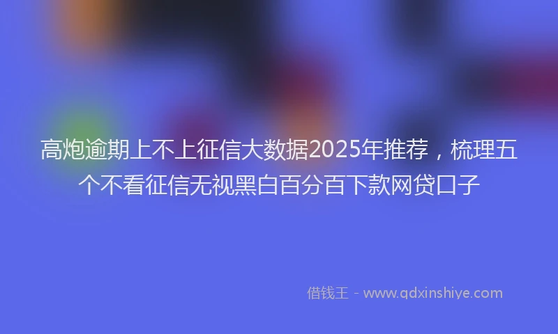 高炮逾期上不上征信大数据2025年推荐，梳理五个不看征信无视黑白百分百下款网贷口子