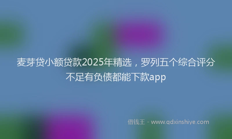 麦芽贷小额贷款2025年精选，罗列五个综合评分不足有负债都能下款app