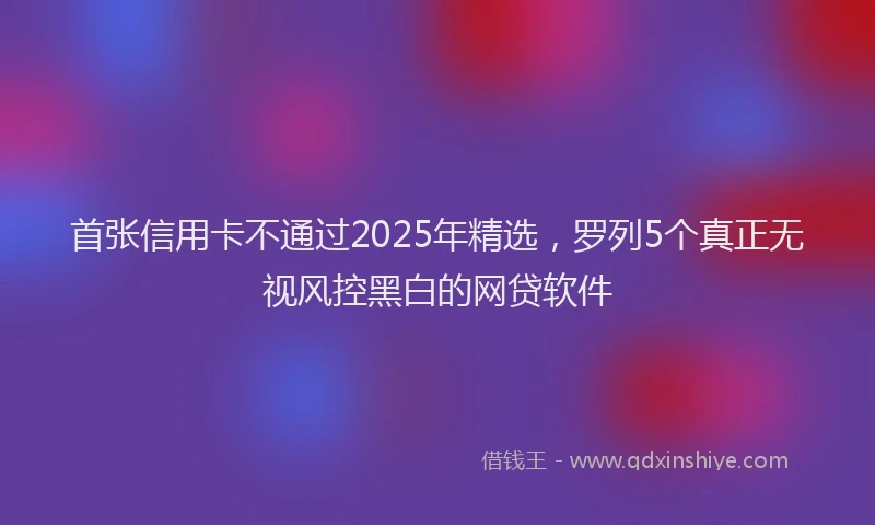 首张信用卡不通过2025年精选，罗列5个真正无视风控黑白的网贷软件