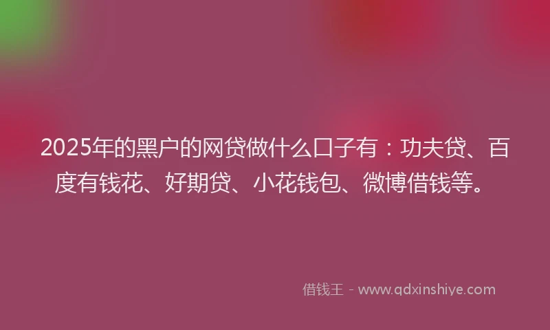 2025年的黑户的网贷做什么口子有：功夫贷、百度有钱花、好期贷、小花钱包、微博借钱等。