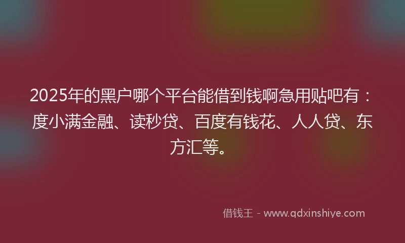 2025年的黑户哪个平台能借到钱啊急用贴吧有：度小满金融、读秒贷、百度有钱花、人人贷、东方汇等。
