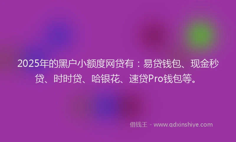 2025年的黑户小额度网贷有：易贷钱包、现金秒贷、时时贷、哈银花、速贷Pro钱包等。
