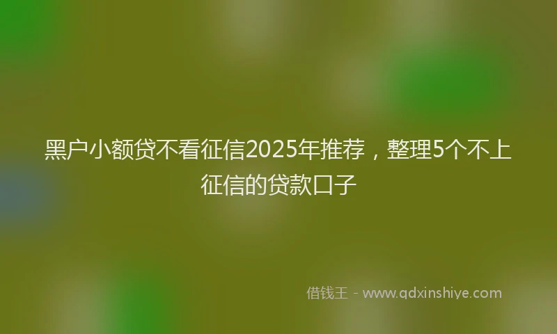 黑户小额贷不看征信2025年推荐，整理5个不上征信的贷款口子