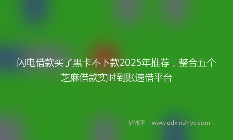 闪电借款买了黑卡不下款2025年推荐，整合五个芝麻借款实时到账速借平台