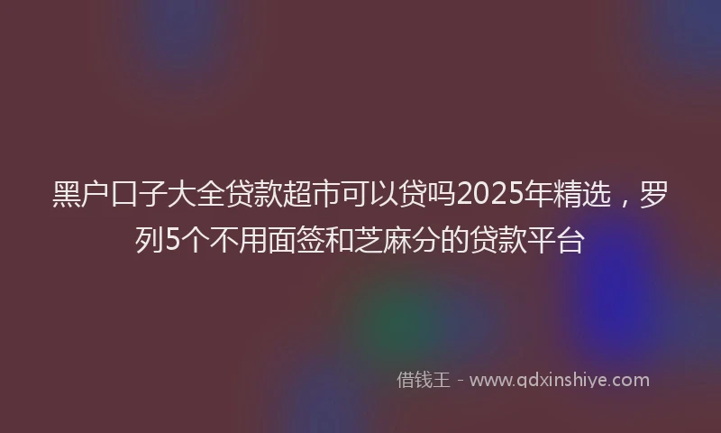 黑户口子大全贷款超市可以贷吗2025年精选，罗列5个不用面签和芝麻分的贷款平台