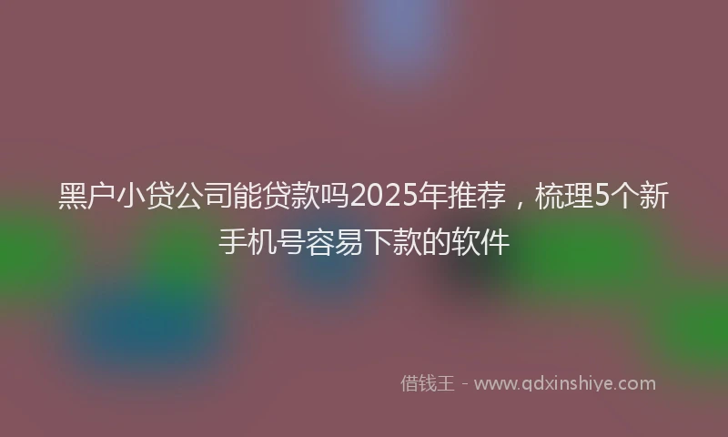 黑户小贷公司能贷款吗2025年推荐，梳理5个新手机号容易下款的软件