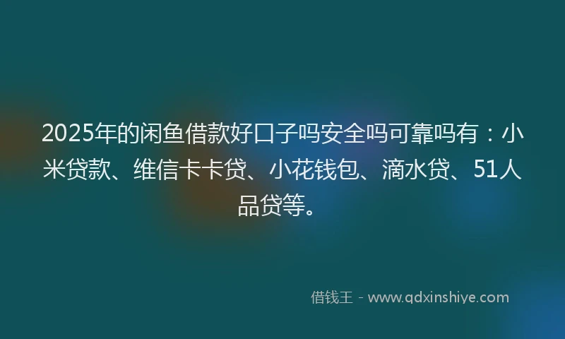 2025年的闲鱼借款好口子吗安全吗可靠吗有：小米贷款、维信卡卡贷、小花钱包、滴水贷、51人品贷等。