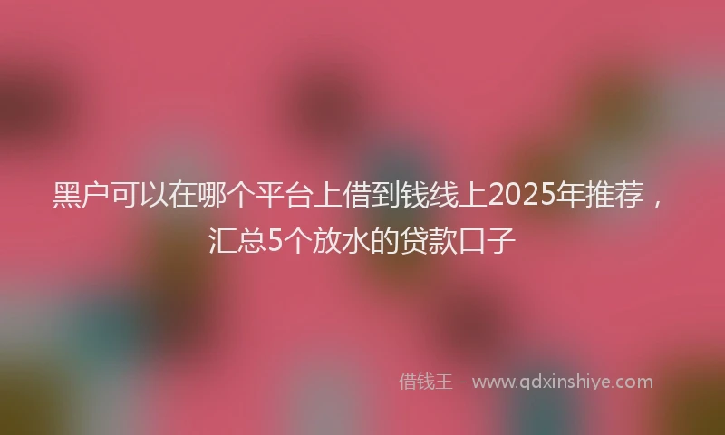 黑户可以在哪个平台上借到钱线上2025年推荐，汇总5个放水的贷款口子