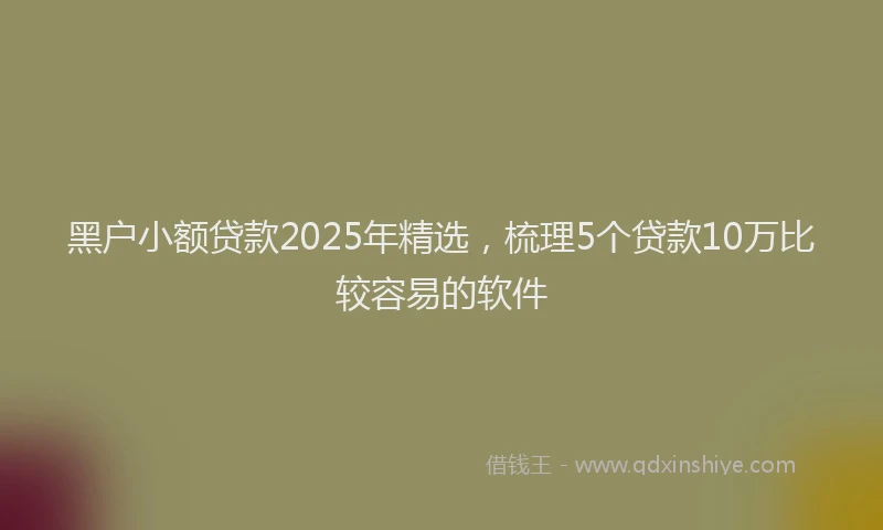 黑户小额贷款2025年精选，梳理5个贷款10万比较容易的软件