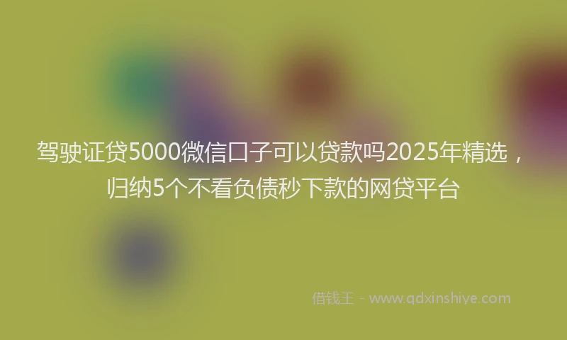 驾驶证贷5000微信口子可以贷款吗2025年精选，归纳5个不看负债秒下款的网贷平台