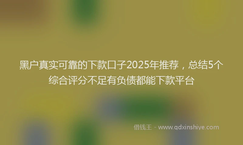 黑户真实可靠的下款口子2025年推荐，总结5个综合评分不足有负债都能下款平台