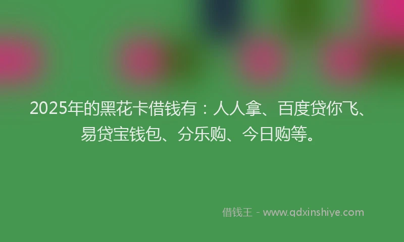 2025年的黑花卡借钱有：人人拿、百度贷你飞、易贷宝钱包、分乐购、今日购等。