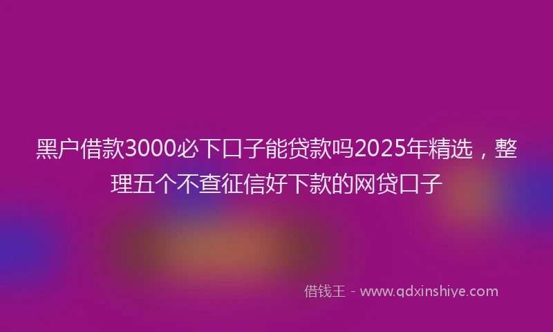 黑户借款3000必下口子能贷款吗2025年精选，整理五个不查征信好下款的网贷口子