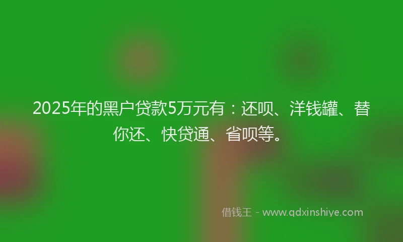 2025年的黑户贷款5万元有：还呗、洋钱罐、替你还、快贷通、省呗等。
