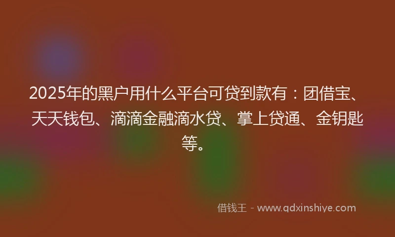 2025年的黑户用什么平台可贷到款有：团借宝、天天钱包、滴滴金融滴水贷、掌上贷通、金钥匙等。