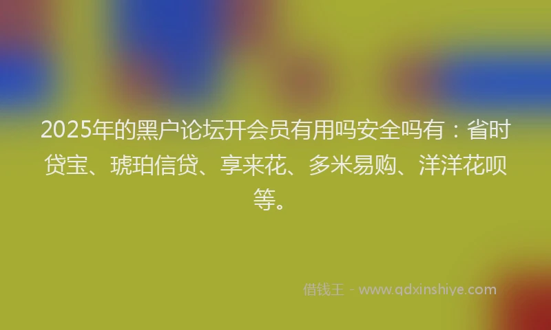 2025年的黑户论坛开会员有用吗安全吗有：省时贷宝、琥珀信贷、享来花、多米易购、洋洋花呗等。