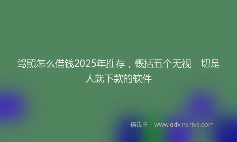 驾照怎么借钱2025年推荐，概括五个无视一切是人就下款的软件