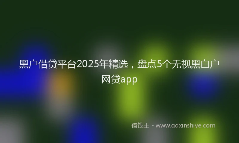 黑户借贷平台2025年精选，盘点5个无视黑白户网贷app