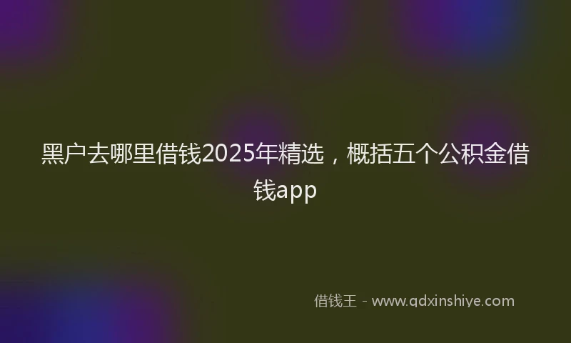 黑户去哪里借钱2025年精选，概括五个公积金借钱app