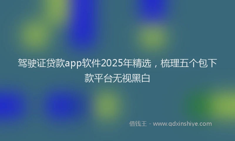 驾驶证贷款app软件2025年精选，梳理五个包下款平台无视黑白