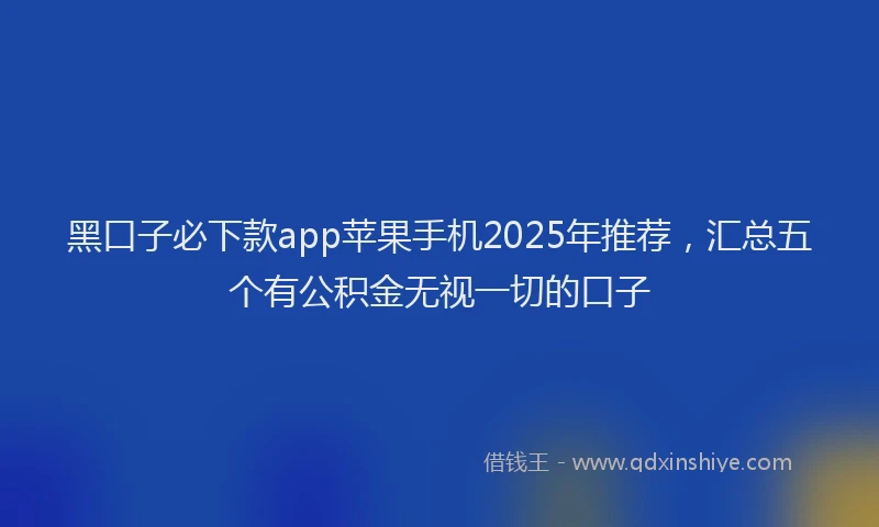黑口子必下款app苹果手机2025年推荐，汇总五个有公积金无视一切的口子
